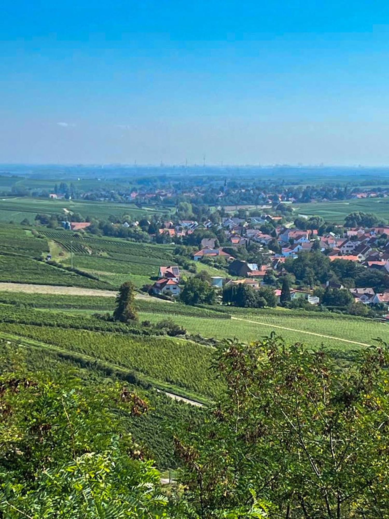 Hotel Zum Burggraf Neuleiningen Exteriér fotografie